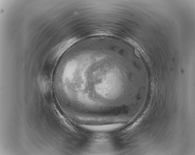 X0000086771129200704131135