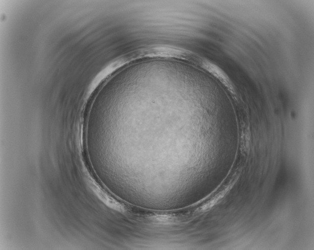 X0000086771130200704131135