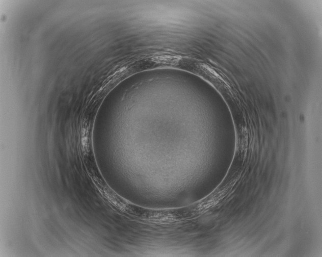 X0000086771154200704131134