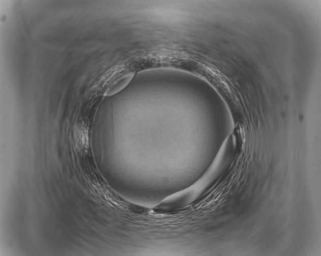 X0000086771155200704131134