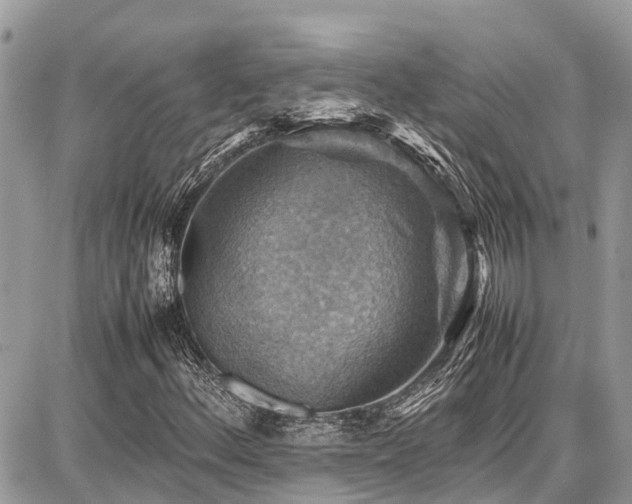 X0000086771156200704131134