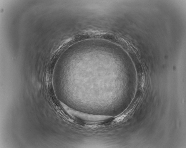 X0000086771157200704131134