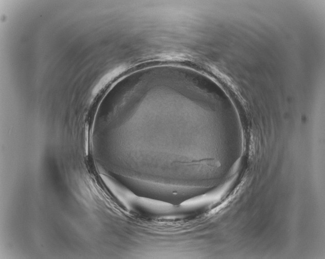 X0000086771171200704131134