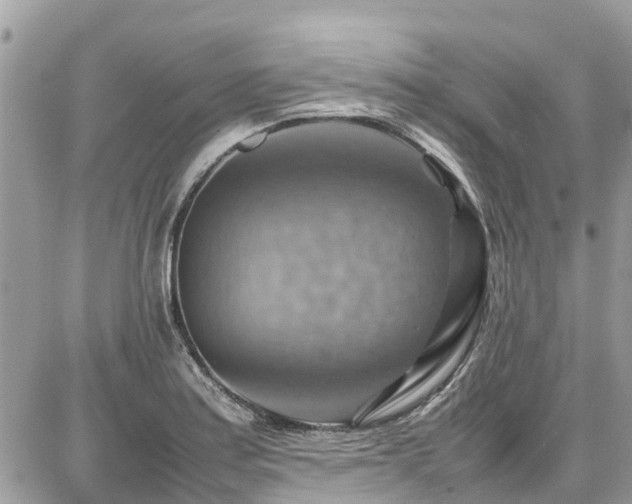 X0000086771179200704131134
