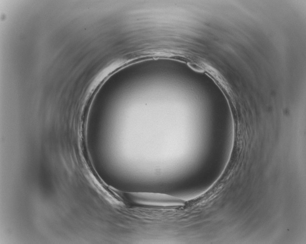 X0000086771187200704131134