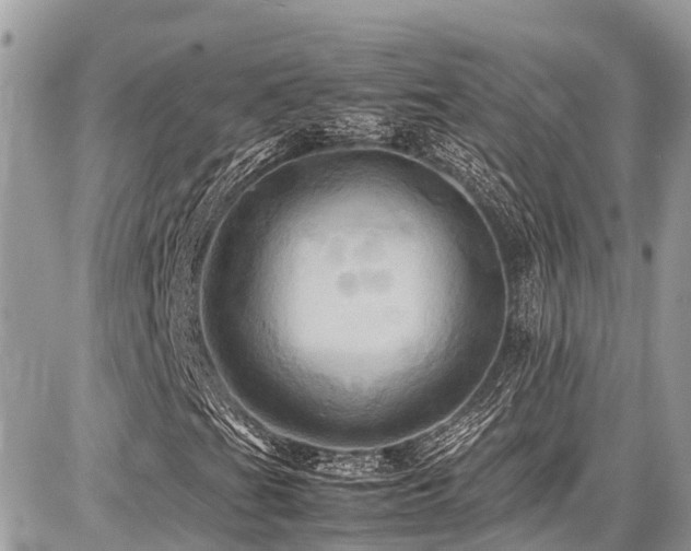 X0000086771201200704131132