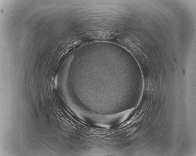 X0000086771202200704131132