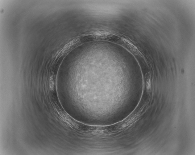 X0000086771204200704131133