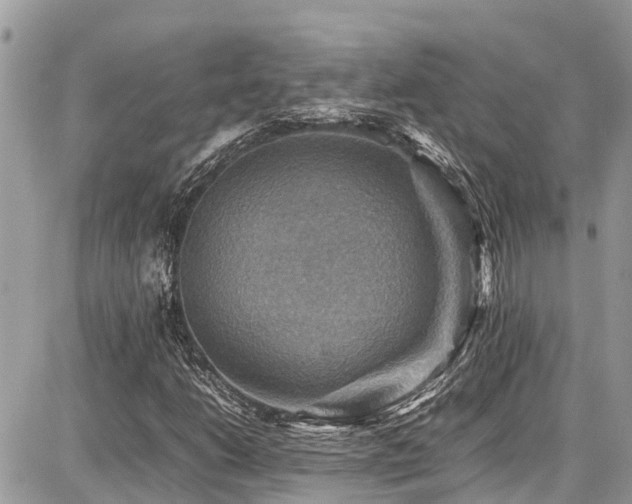 X0000086771206200704131133
