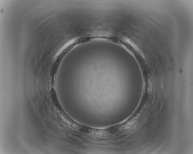 X0000086771213200704131133
