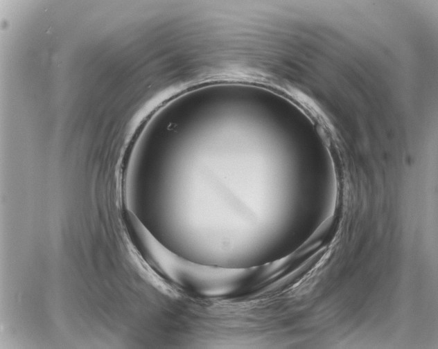 X0000086771238200704131133