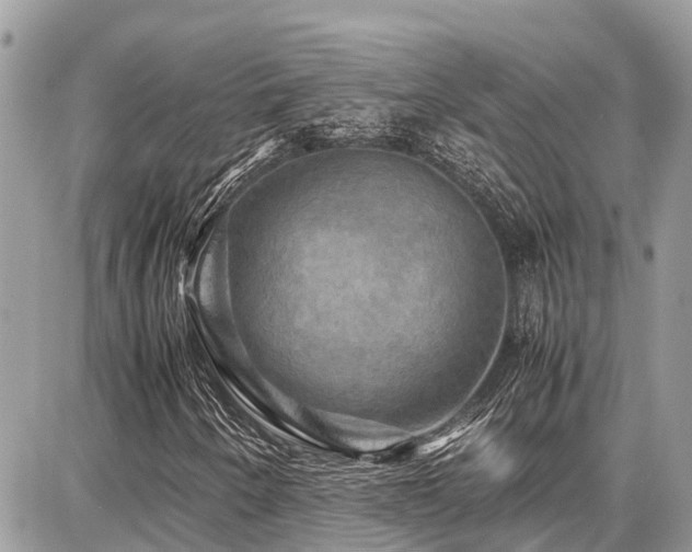 X0000086771250200704131132