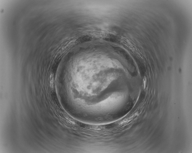 X0000086771251200704131132