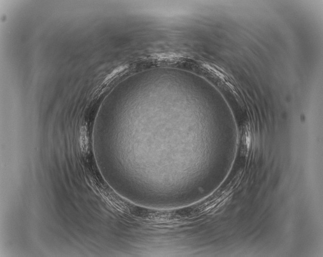 X0000086771252200704131132