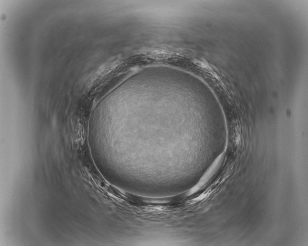X0000086771253200704131132