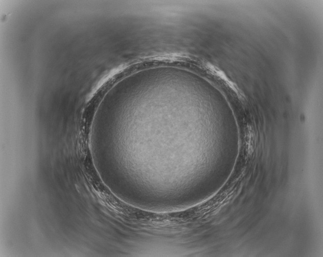 X0000086771256200704131132
