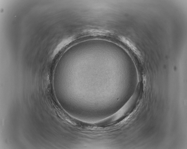 X0000086771261200704131132