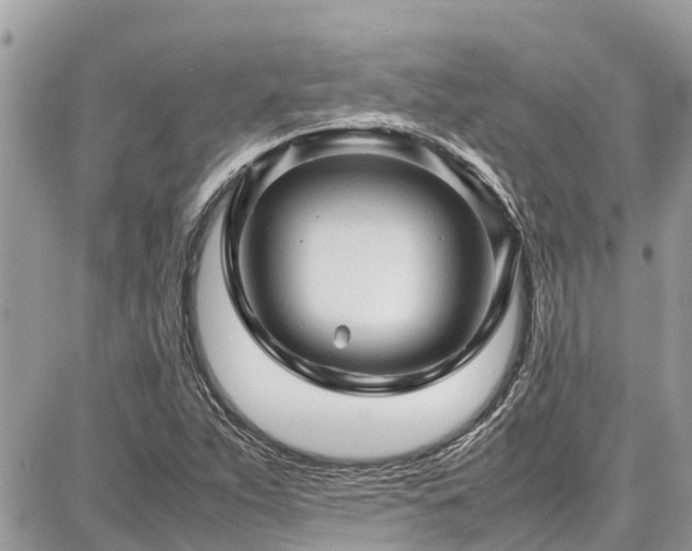 X0000086771263200704131132