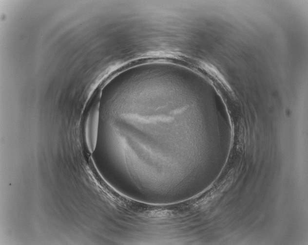 X0000086771268200704131132