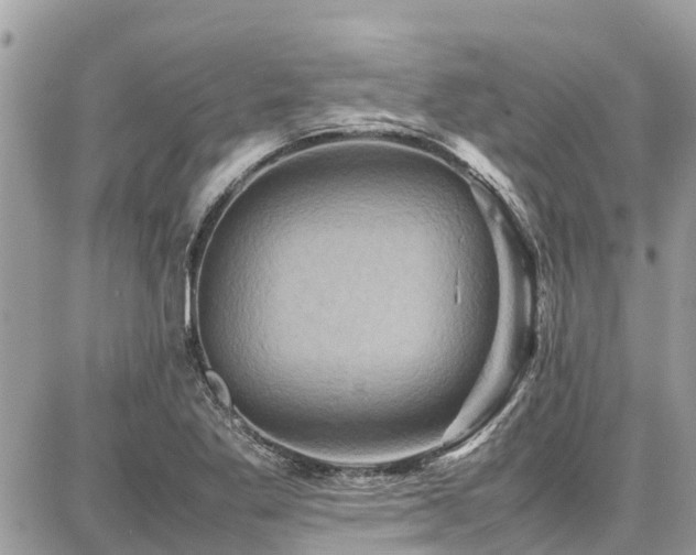 X0000086771269200704131132
