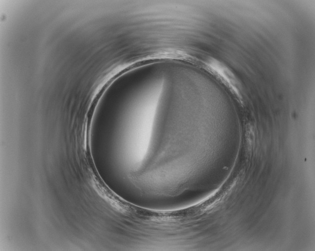 X0000086771276200704131132