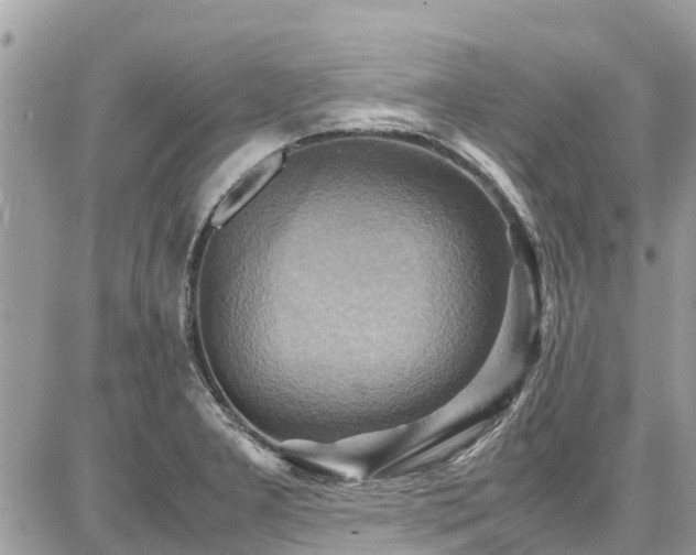 X0000086771277200704131132