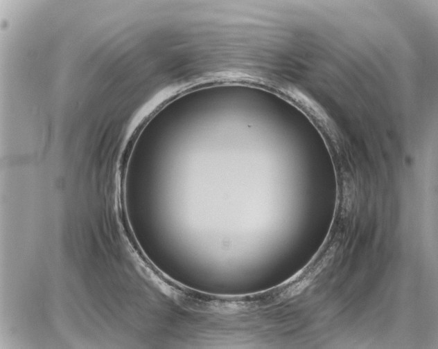 X0000086771286200704131132