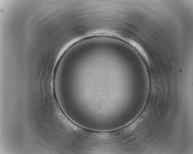 X0000086771288200704131132
