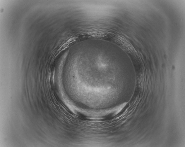 X0000086771298200704131131