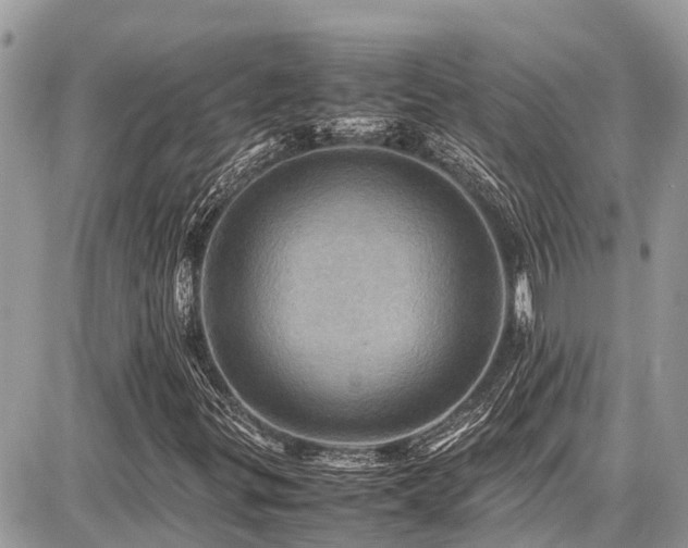 X0000086771299200704131131
