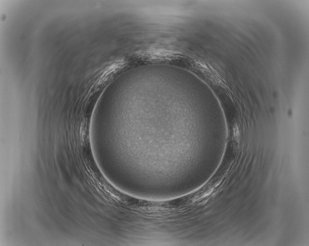 X0000086771300200704131131