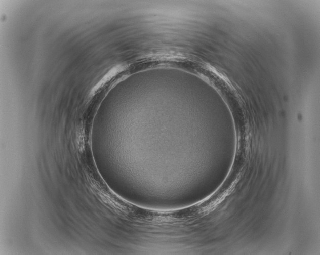 X0000086771306200704131131