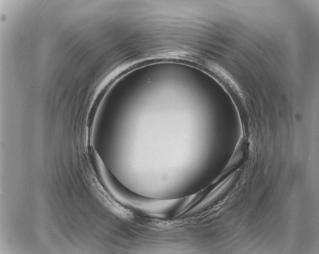 X0000086771324200704131131