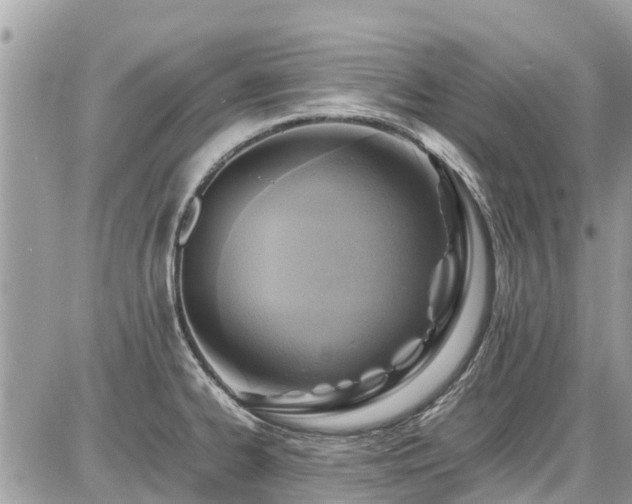 X0000086771334200704131131