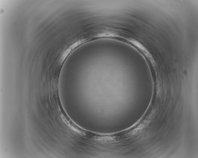 X0000086771337200704131132