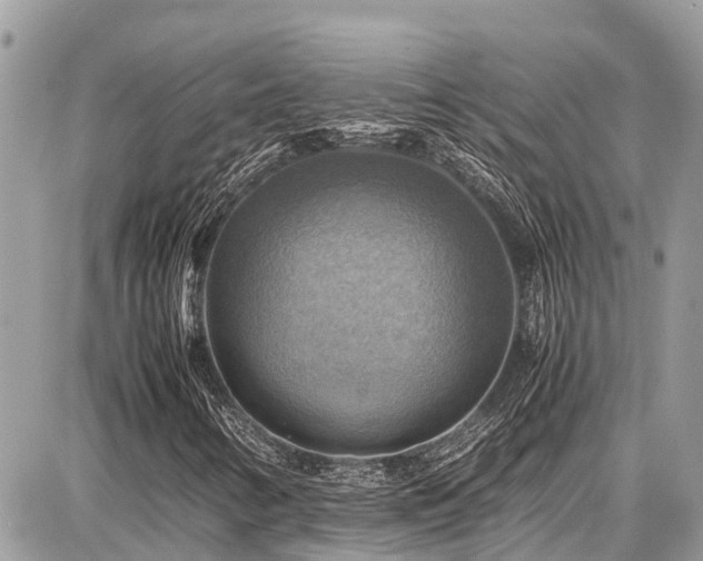 X0000086771346200704131131