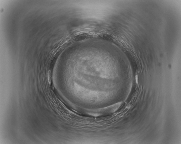X0000086771347200704131131