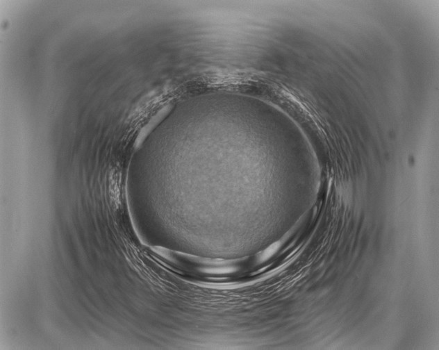 X0000086771348200704131131