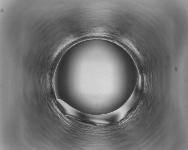 X0000086771356200704131131