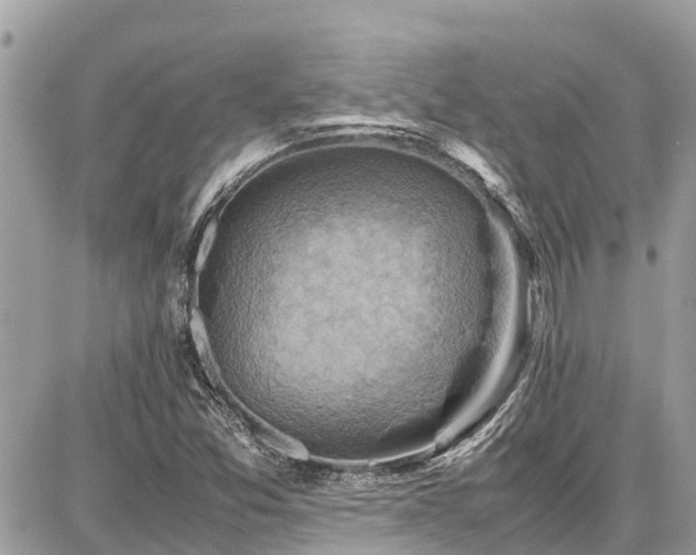 X0000086771357200704131131