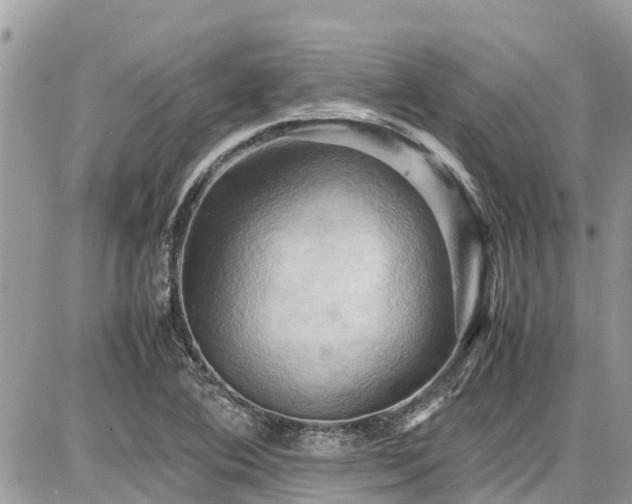 X0000086771364200704131131