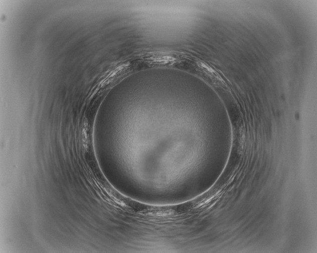X0000086771394200704131129