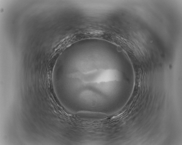X0000086771397200704131129