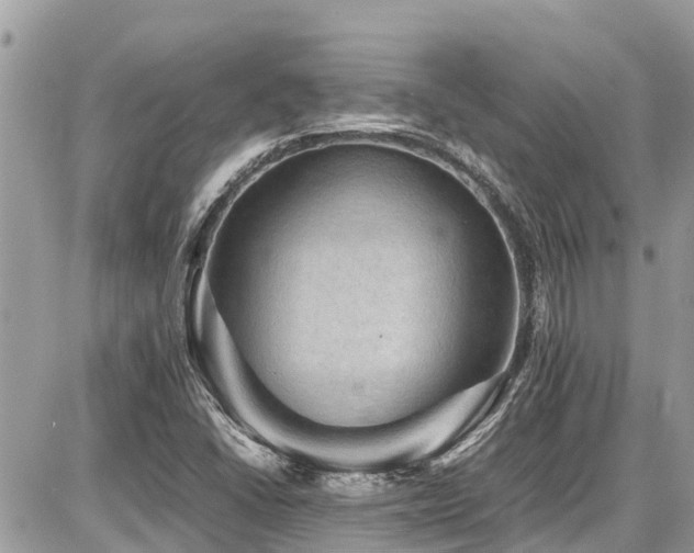 X0000086771406200704131129