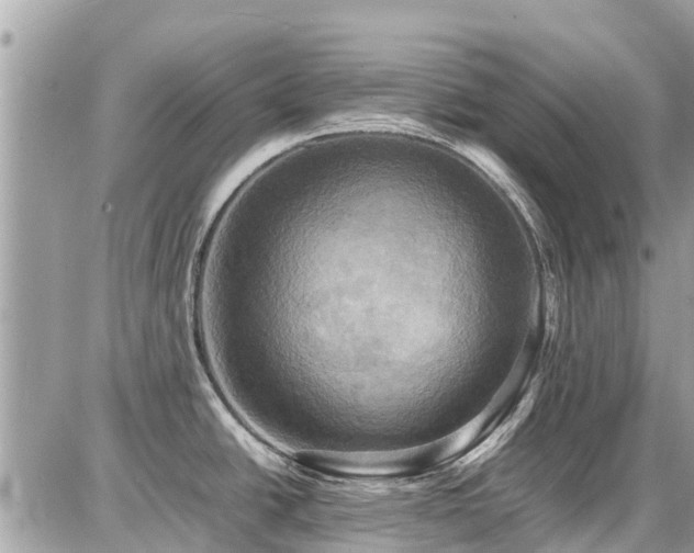 X0000086771438200704131130