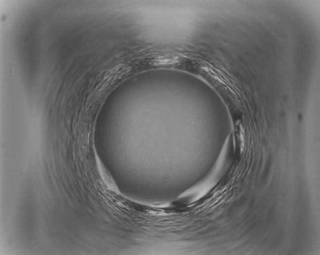 X0000086771441200704131129