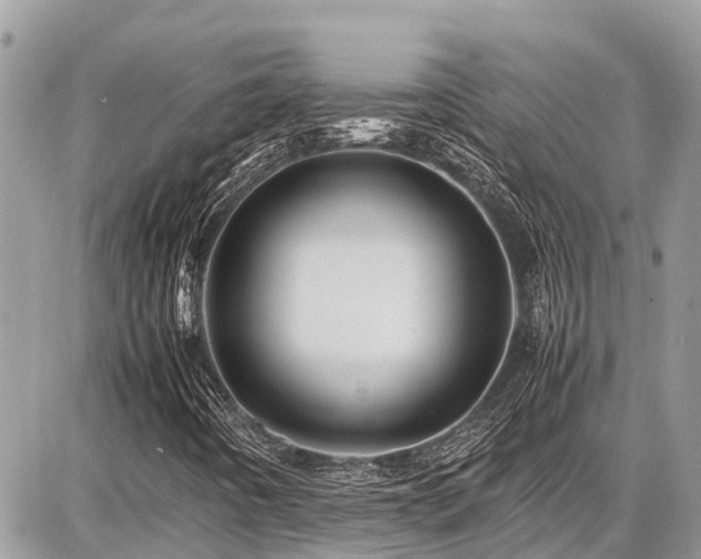 X0000086771442200704131129
