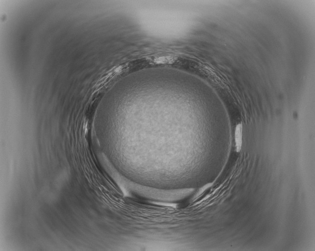 X0000086771443200704131129