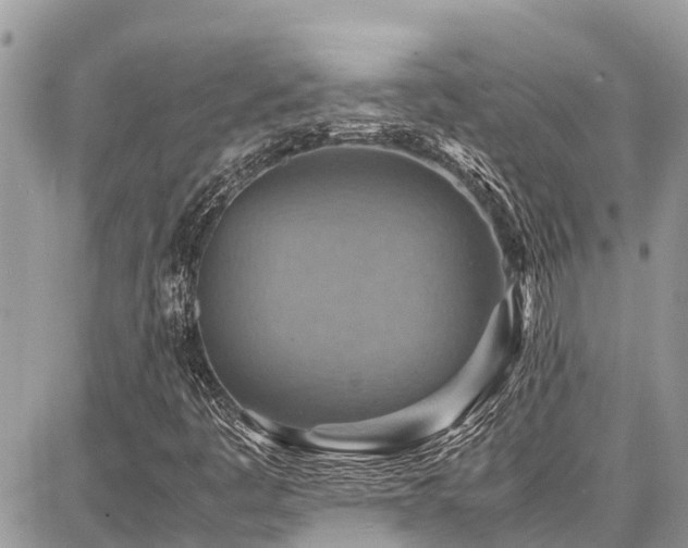 X0000086771445200704131129