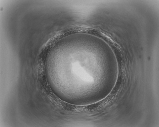 X0000086771447200704131129